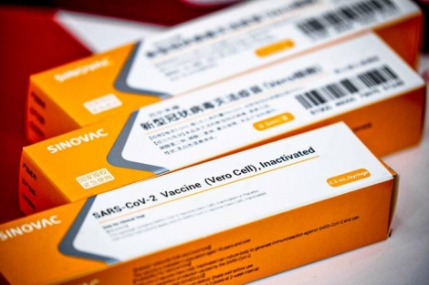 Coronavac: vacina da chinesa Sinovac tem sido desenvolvida em parceria com o Insitituto Butantan no Brasil (Thomas Peter/Reuters)