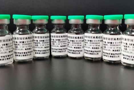 Vacina produzida por laboratrio da China custaria 17 dlares por dose. Documento foi assinado dia 4 pelo Ministrio da Sade