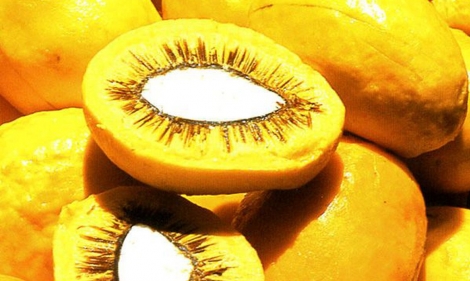Unesp encontra forma criativa e sustentvel de aproveitar fruto. (Foto: centraldocerrado.org)