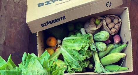 Cesta da foodtech mercado Diferente, que vende vegetais fora do padro