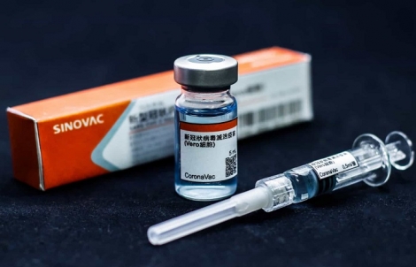 Os resultados sero enviados pelo Comit Internacional independente na primeira semana de dezembro para que a Anvisa analise o relatrio para verificao da vacina. (Foto: shutterstock)