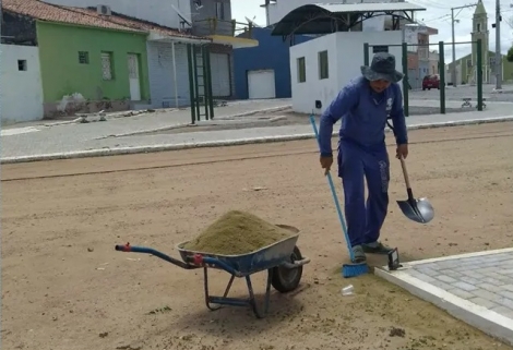 Insetos mortos foram recolhidos pelos agentes de limpeza da cidade  Foto: Reproduo/ TV Cabo Branco