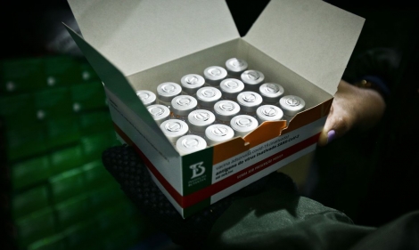 Secretaria de Sade da Paraba distribuir aos 223 municpios, nesta quarta-feira (26), mais 34.100 doses de vacina Pfizer para vacinao de crianas de 5 a 11 anos