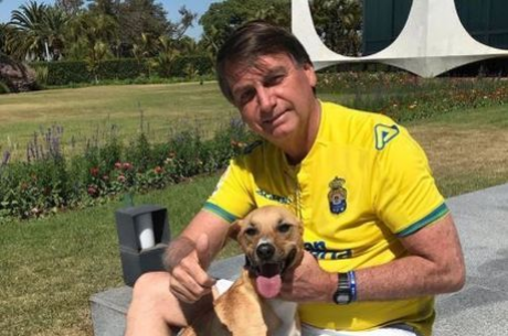 Bolsonaro vai sancionar projeto que aumenta pena a maus-tratos a ces e gatos