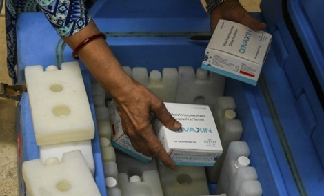 A Covaxin  considerada uma vacina tradicional (Foto: PRAKASH SINGH/AFP)