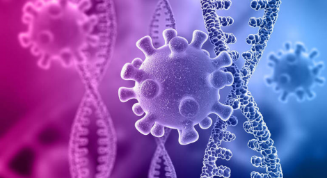 Teste molecular revelou que brasileiros foram infectados com a nova variante do coronavírus, identificada na África do Sul
